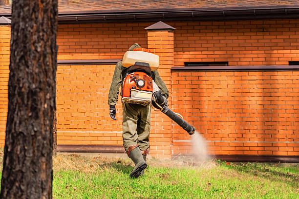 Bed Bug Clearance Verification and Documentation in Grantley